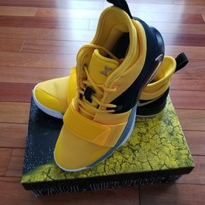 Brand New Nike Paul George 2